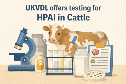 HPAITesting