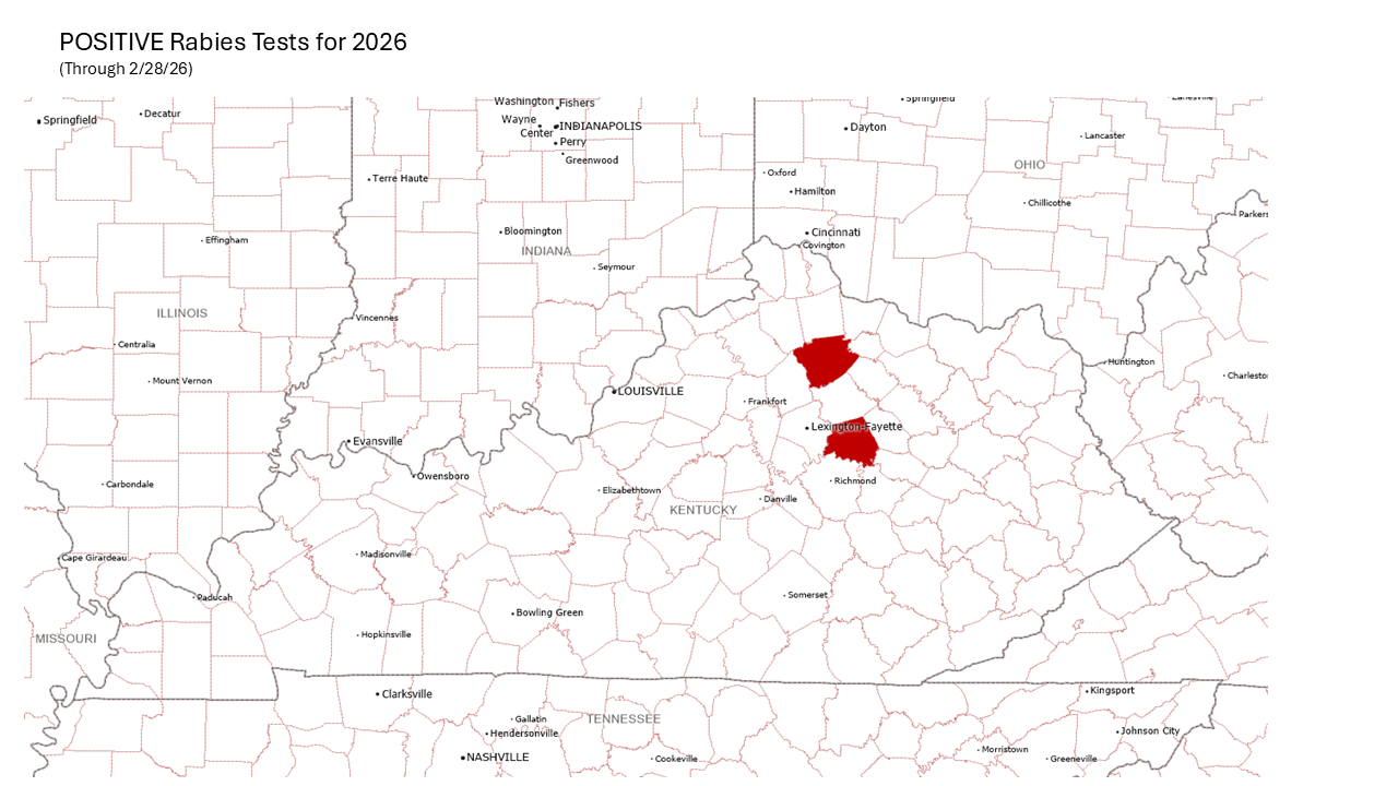 Map of Kentucky Positive Rabies Tests for 2026