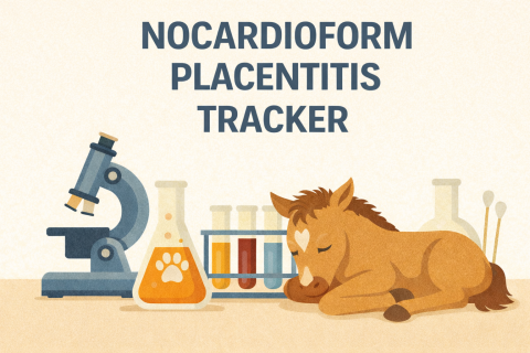 Nocardioform_placentitis_track